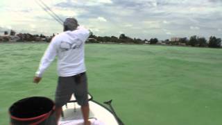 Fly Fishing for Tarpon [upl. by Miko]