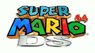 Metal Wario  Super Mario 64 DS [upl. by Naimad]