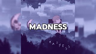 STIM  madness Official Lyric Video [upl. by Anairda]