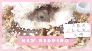 新しい床材と爪とぎについて New Bedding [upl. by Palla]