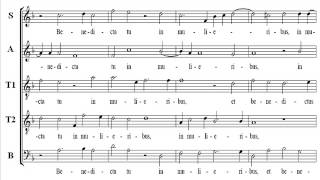 Byrd Ave Maria Score Tenor1 [upl. by Outhe392]