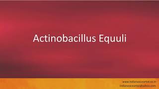 Pronunciation of the words quotActinobacillus Equuliquot [upl. by Nikolos]