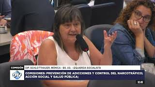 CIBERAPUESTAS Y LUDOPATÍA  Diputada Schlotthauer  Izquierda Socialista FITU [upl. by Zoba151]