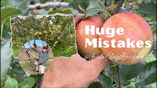 Apple Tree Problems to avoid [upl. by Mosi650]