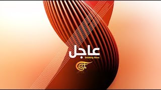 ALMAYADEEN TV  News Package 2012 [upl. by Shepperd]