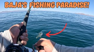 Bahia de Los Angeles Epic Fishing and Stunning Scenery in Baja California Ep 18 [upl. by Enaywd535]