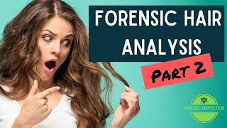 Forensics and Hair Analysis Part 2 [upl. by Rufena]