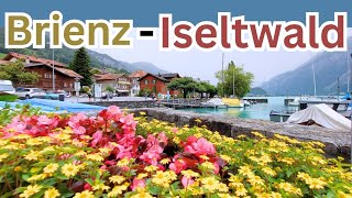 Exploring the Picturesque Villages of Brienz amp Iseltwald Switzerland [upl. by Ientirb]