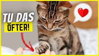 11 Dinge die du viel öfter für deine Katze tun solltest [upl. by Notsag]