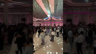 Unforgettable Arab Wedding in Vienna  Egyptian amp Lebanese Traditions [upl. by Sera]