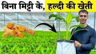 Soilless हल्दी Farming Secrets FINALLY Revealed Hindi  Agritalk by Abhinav Roy [upl. by Mohammad]