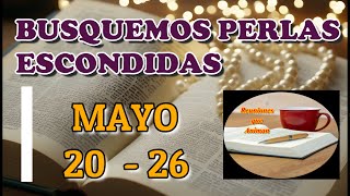 Busquemos perlas escondidas Semana Mayo 20  26 [upl. by Gregoire]