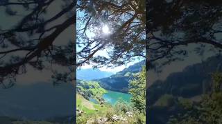 Seelisberg switzerland nature hikingadventure swissadventure mountains [upl. by Aimehs]