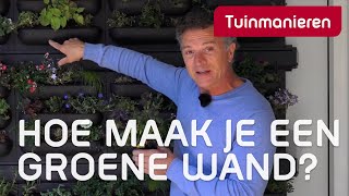 Hoe maak je een groene wand Tuinaanleg  Tuinmanieren [upl. by Rennold]