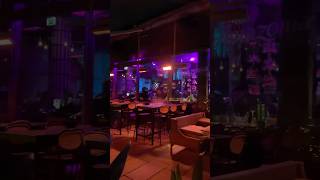 Oslo night life Christmas 2024 shorts shortvideo nightlife oslo osloelsa67 norway [upl. by Aleinad]