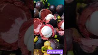 Luscious Mangosteens fresh from the farm ☺️ mangosteens [upl. by Dani727]