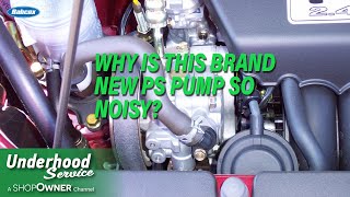 Why Is This Brand New PS Pump So Noisy [upl. by Krute915]