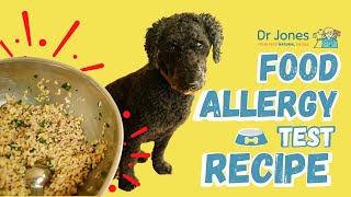 Best Dog Food Allergy Test [upl. by Tilney33]