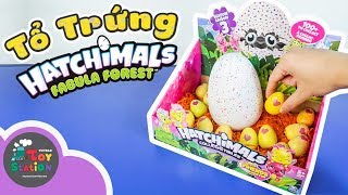 Ấp cả tổ trứng Hatchimals Season 3 và Fabula Forest ToyStation 280 [upl. by Hancock]