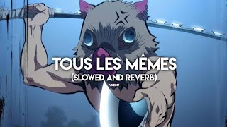 Tous Les MêmesSlowed and Reverb [upl. by Naig346]