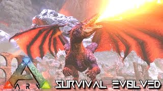 ARK SURVIVAL EVOLVED  NEW UPDATE DRAGON DIPLODOCUS LEECH amp ANNIVERSARY EVENT  Spotlight v242 [upl. by Conant]