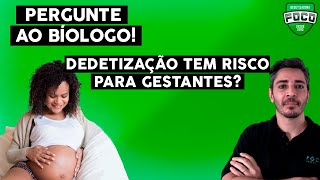 DEDETIZAÇÃO TEM RISCO PARA GESTANTES  Pergunte Ao Biólogo  Foco Dedetizadora [upl. by Neirbo]