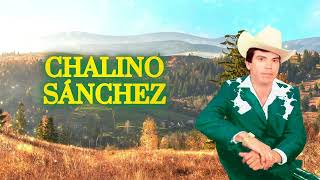 Chalino Sánchez  Arcadio Barraza Letra Oficial [upl. by Kemppe]