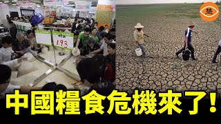 中國糧食供應鏈的三大風險：老齡化農業勞動力、資源有限與國際依賴 [upl. by Fagin]