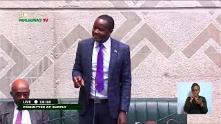 National Assembly of Zambia Live Stream [upl. by Jaqitsch726]