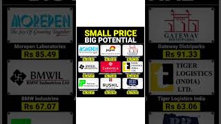 Small Price Big Potential shorts pennystocks pennyshare sharemarket topstocks [upl. by Addison]