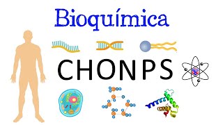 🧬 ¿Qué es la Bioquímica ⚗️ Y su IMPORTANCIA 🧫 Fácil y Rápido  BIOLOGÍA  QUÍMICA [upl. by Asenej]