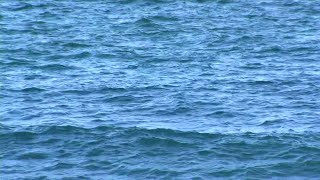 Okaloosa County boy nearly drowns [upl. by Nylinej67]