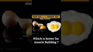 Raw Egg Vs Cooked  Boiled Egg which is better for Muscle Building [upl. by Acirfa]