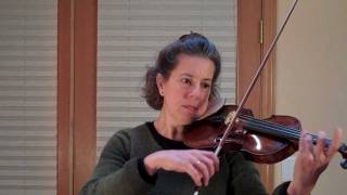 Violin Vibrato Lessons How to do Vibrato on the Violin Part 1  wwwfingerboardworkbookseriescom [upl. by Goddart]