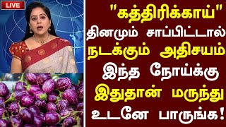 கத்தரிக்காய் மருத்துவ நன்மைகள்  Brinjal Health Benefits in Tamil Tamil News Health Tips in Tamil [upl. by Lundquist932]