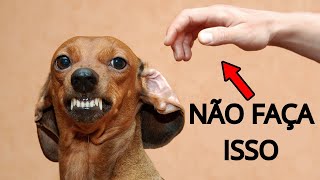 Seu Cachorro Odeia Quando Você Faz Isso [upl. by Adnuahsal]