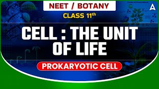 CELL THE UNIT OF LIFE CLASS 11  PROKARYOTIC CELL  NEET 204 SANJEEVANI BATCH  BOTANY BY SANKALP [upl. by Pestana]