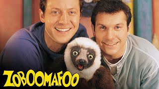 Zoboomafoo Theme Song reaction from the user purewestmusic [upl. by Arabrab]