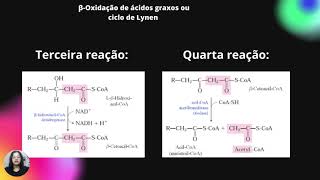 βOxidação de ácidos graxos ou ciclo de Lynen [upl. by Ingold]