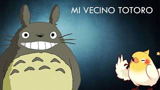 Mi Vecino Totoro  Educa Tu Ninfa [upl. by Alage220]