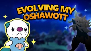 Evolving my Shiny Oshawott  SV amp PLA [upl. by Dulsea]