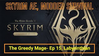 Skyrim AE Modded Survival  The Greedy Mage  Ep 15 Labyrinthian [upl. by Eiramyllek693]