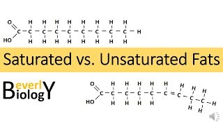 Saturated vs Unsaturated Fats [upl. by Booker]