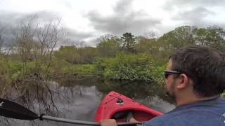 Kayaking Taunton River to Winnetuxet River and back [upl. by Ahseila684]