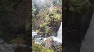 Drift creek falls Oregon [upl. by Lohner]