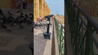 Top of the Saluting Battery Barrakka left valletta malta viewpoint [upl. by Colyer835]