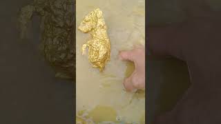 huge gold treasure digging goldhunter miner [upl. by Hollie]