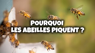 🐝 Pourquoi les Abeilles PiquentElles [upl. by Mot846]