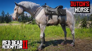 Proper Way To Get Dutchs Albino Arabian Horse  RDR 2 [upl. by Mickey]