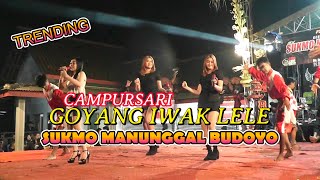 TRENDING CAMPURSARI GOYANG IWAK LELE LDR SUKMO MANUNGGAL BUDOYOKREATIFESENIBUDOYO [upl. by Ydne]